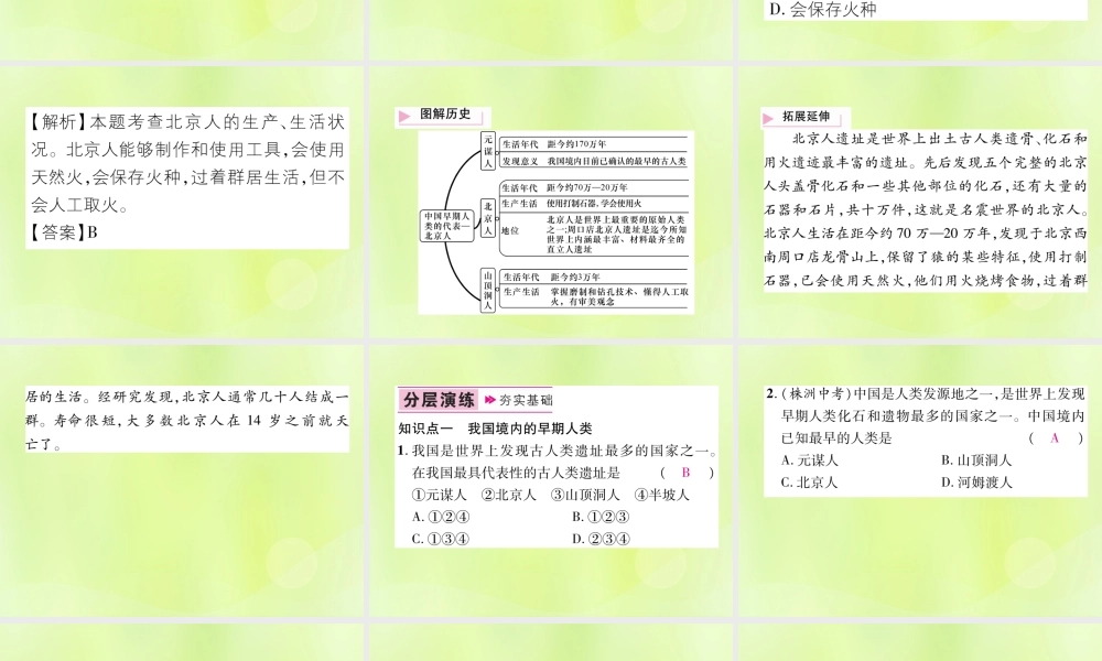 七年级历史上册 第1单元 史前时期：中国境内人类的活动 第1课 中国早期人类的代表—北京人课件 新人教版 课件