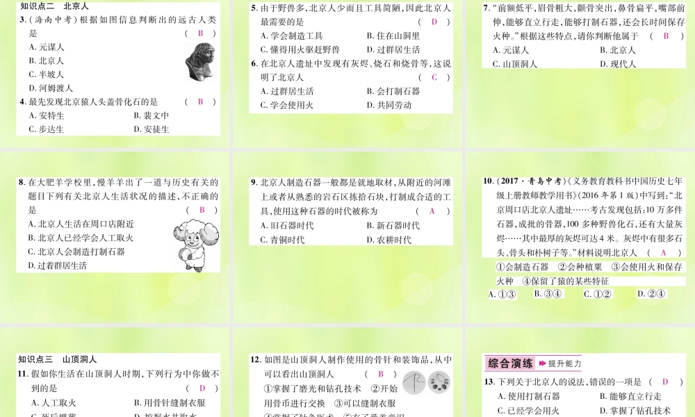 七年级历史上册 第1单元 史前时期：中国境内人类的活动 第1课 中国早期人类的代表—北京人课件 新人教版 课件