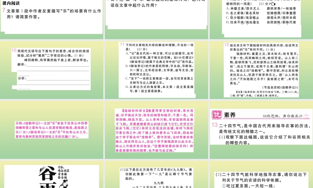 (河南专版)九年级语文上册 第三单元 11 醉翁亭记作业课件 新人教版 课件