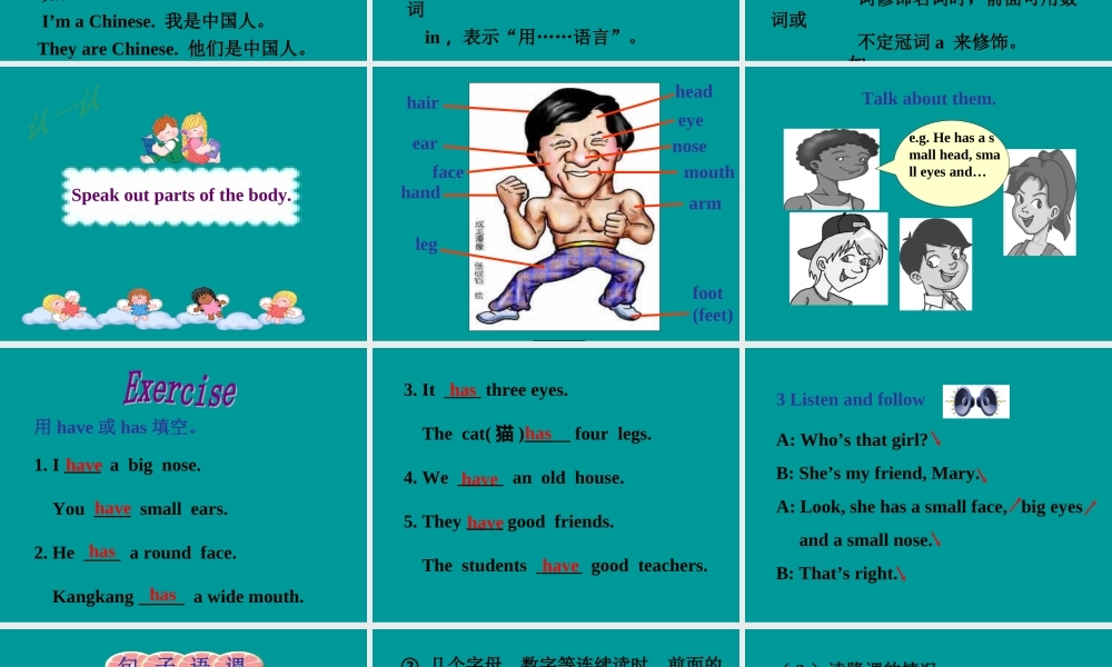 topic1 sectionB 七年级英语上：Unit 2 Topic 1 I have a small nose课件(仁爱版)