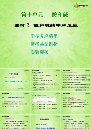 (湖南专用)中考化学总复习 第一部分 第十单元 酸和碱课时2课件(考点清单+13年中考试题) 课件