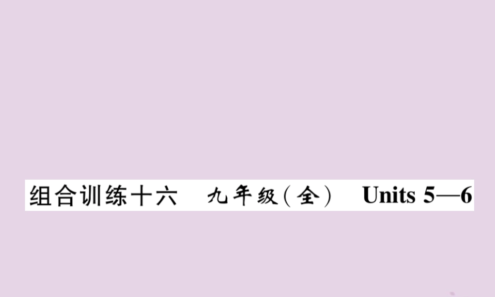 (贵阳专版)中考英语总复习 第1部分 教材知识梳理篇 组合训练16 九全 Units 5 6(精练)课件