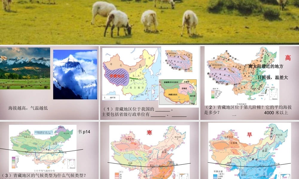 七年级历史与社会下册 第六单元 第4课 第1框(海拔最高的牧区)课件2 人教版 课件