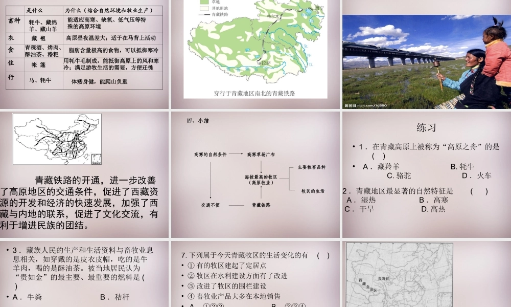 七年级历史与社会下册 第六单元 第4课 第1框(海拔最高的牧区)课件2 人教版 课件