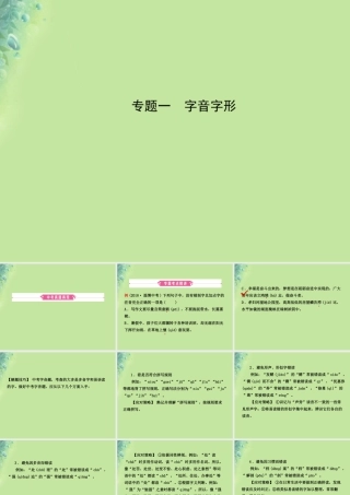 中考语文 专题一 字音字形课件