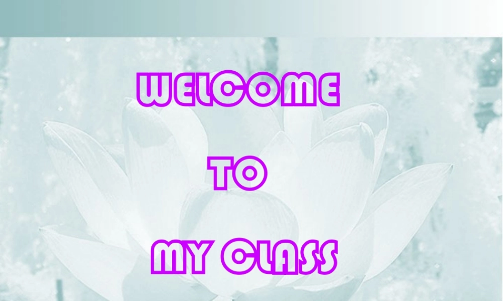 Unit2 English around the World Integrating Skills课件示例一人教版 课件