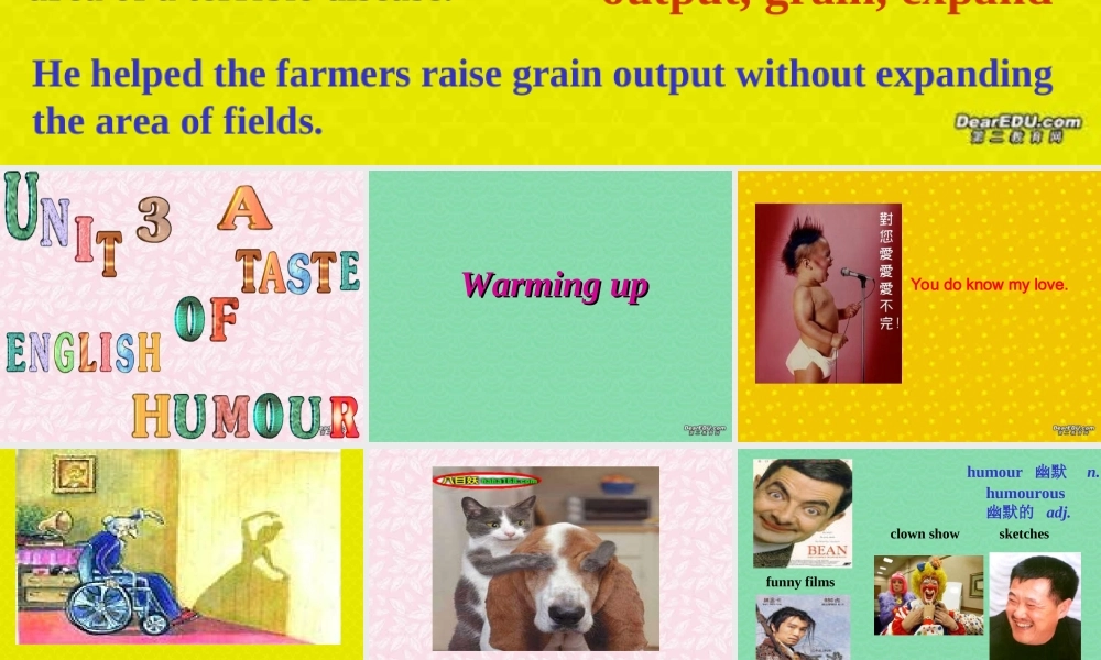 Unit3 a taste of english humour 新课标 人教版1 课件