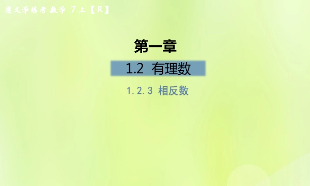 (遵义专版)七年级数学上册 第一章 有理数 1.2 有理数 1.2.3 相反数课后作业课件 (新版)新人教版 课件