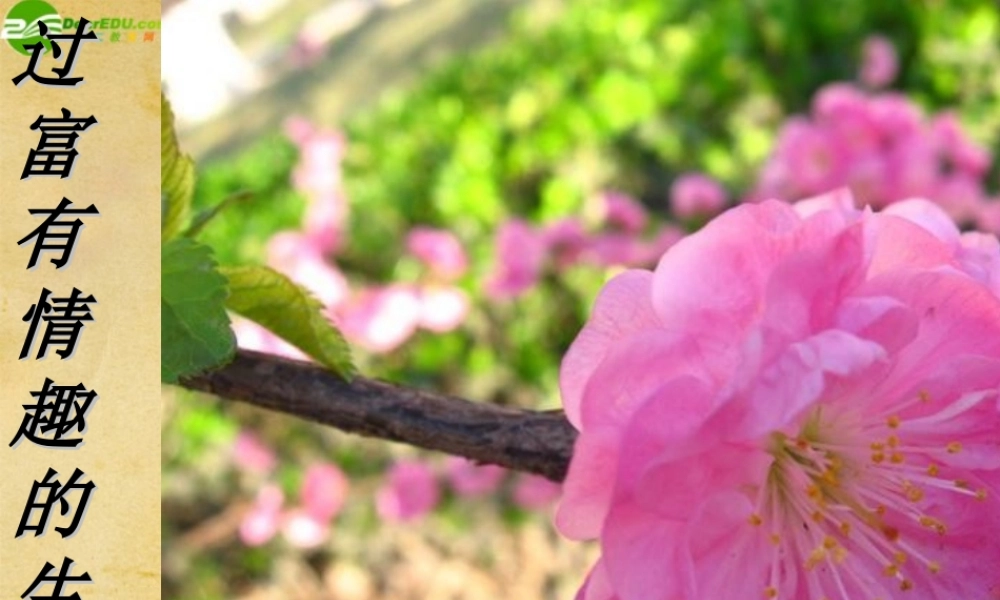 七年级政治下册 第十四课过富有情趣的生活课件 鲁教版 课件