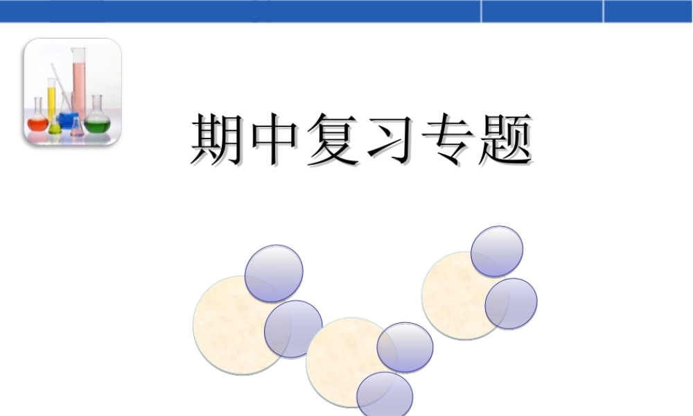 九年级化学南师附中江宁分校期中复习专题全国通用 试题