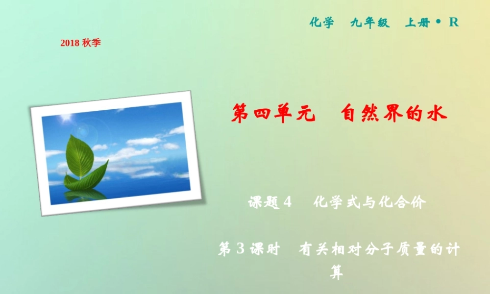 九年级化学上册 第4单元 自然界的水 课题4 化学式与化合价 第3课时 有关相对分子质量的计算作业课件 (新版)新人教版 课件