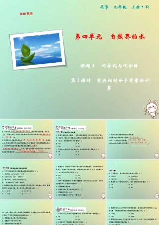 九年级化学上册 第4单元 自然界的水 课题4 化学式与化合价 第3课时 有关相对分子质量的计算作业课件 (新版)新人教版 课件