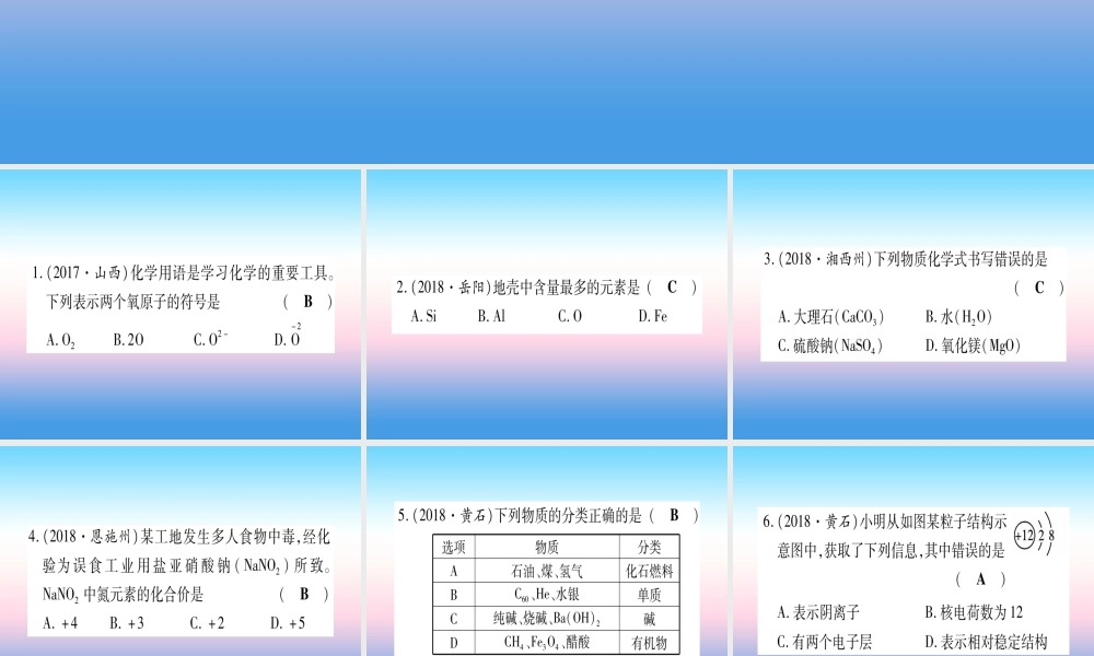 (云南专用)中考化学总复习 专项突破一 化学用语课件