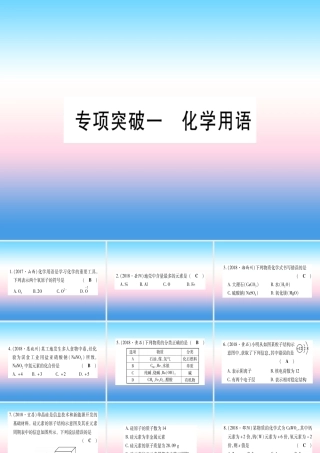 (云南专用)中考化学总复习 专项突破一 化学用语课件