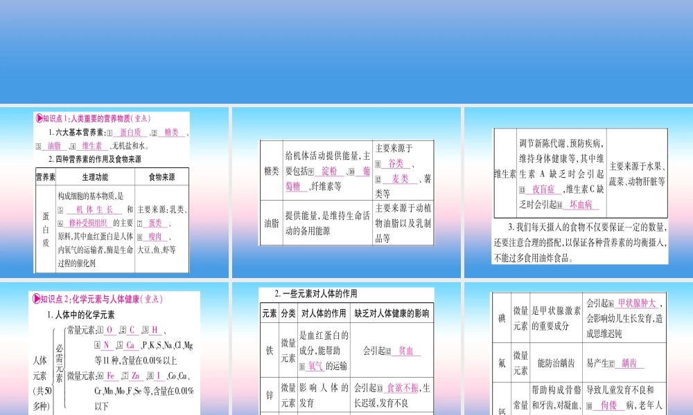 (湖北专版)中考化学总复习 第1部分 教材系统复习 九下 第12单元 化学与生活习题课件2 课件