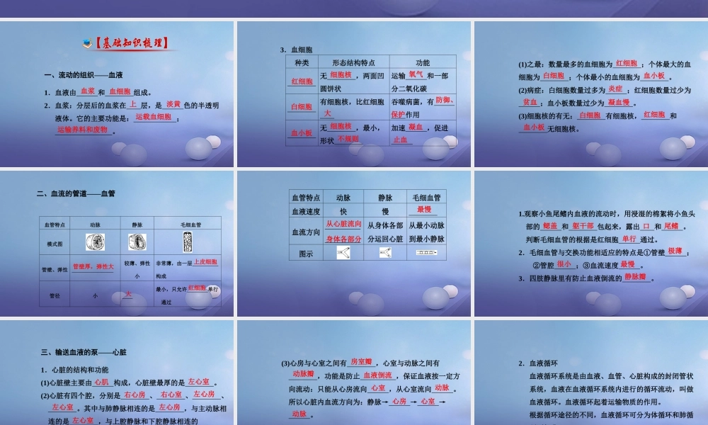 中考生物一轮复习 第四单元 第四章 人体内物质的运输课件 新人教版 课件