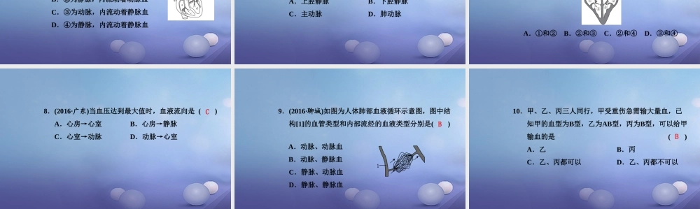 中考生物一轮复习 第四单元 第四章 人体内物质的运输课件 新人教版 课件