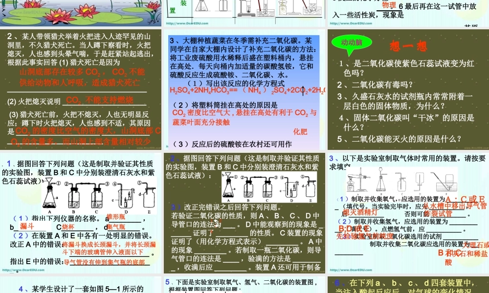 九年级化学二氧化碳综合知识训练 课件