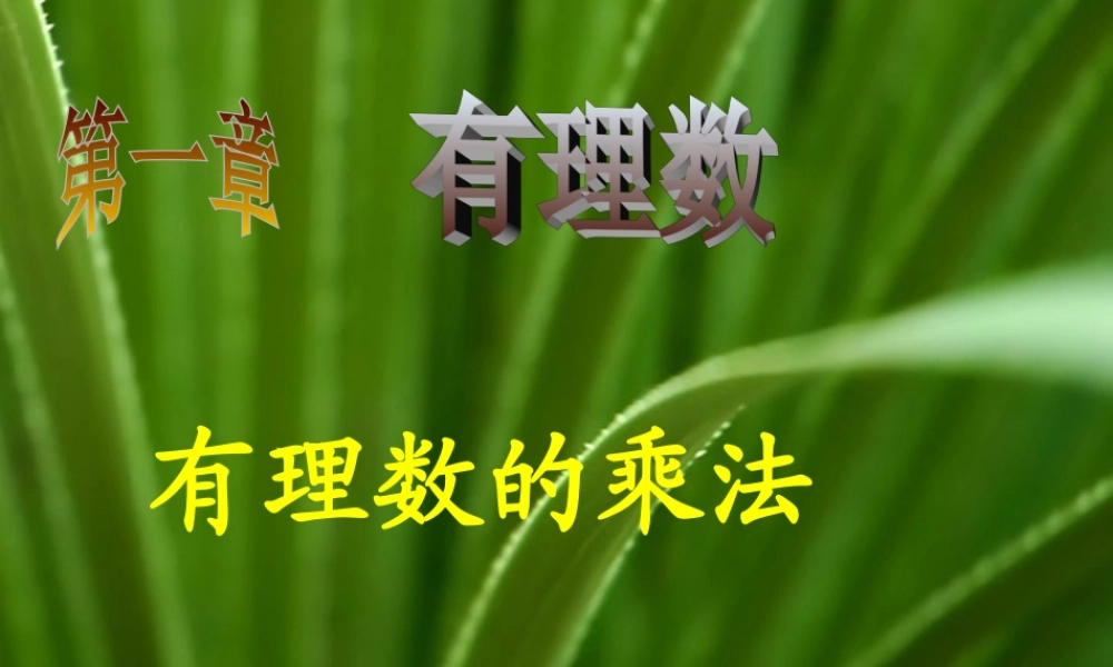七年级上学期 有理数的乘法课件 人教版 课件