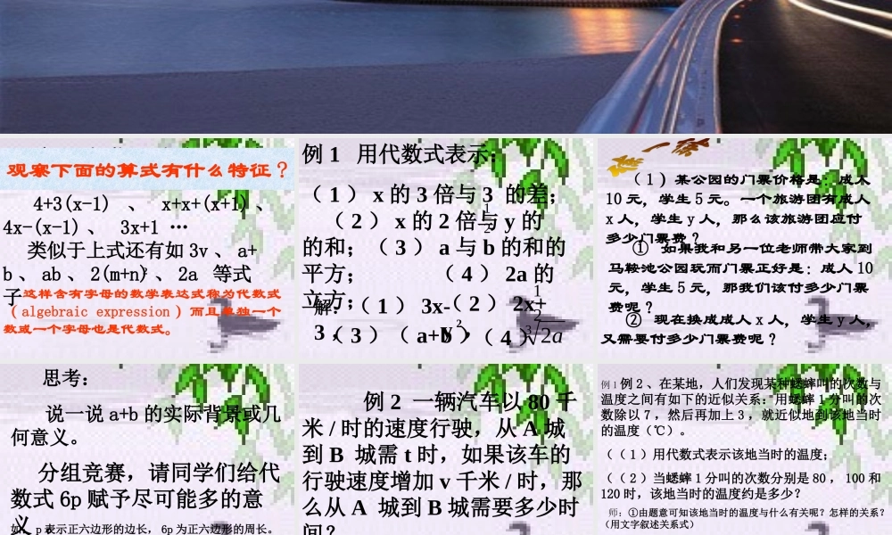 4.2 代数式2 浙江省初一数学(上)全部课件整理 浙教版