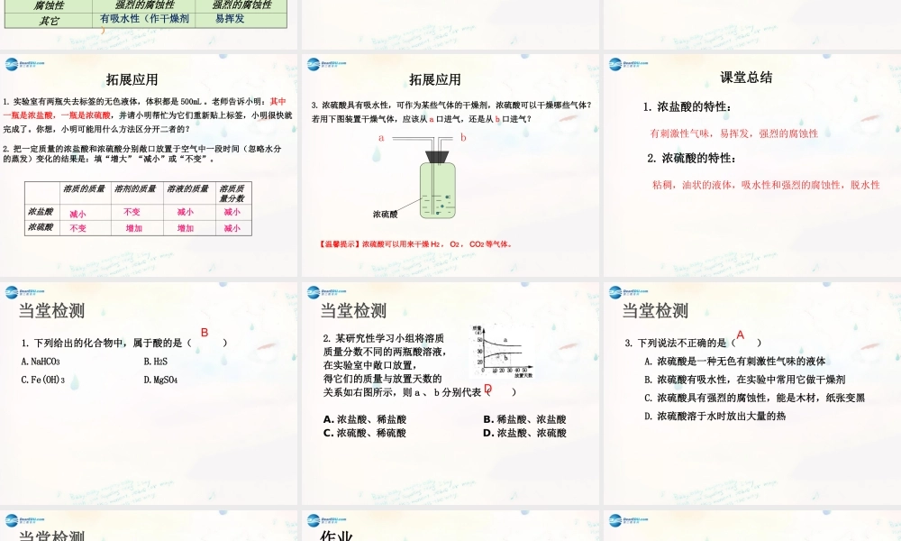 九年级化学下册 71 酸及其性质课件 (新版)鲁教版 课件