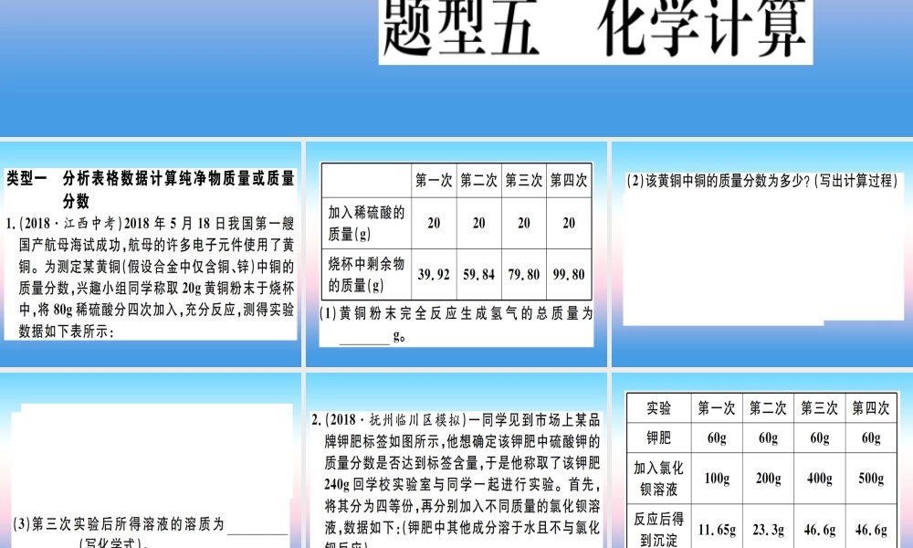 九年级化学下册 特色题型专练篇 题型五 化学计算习题课件 (新版)新人教版 课件