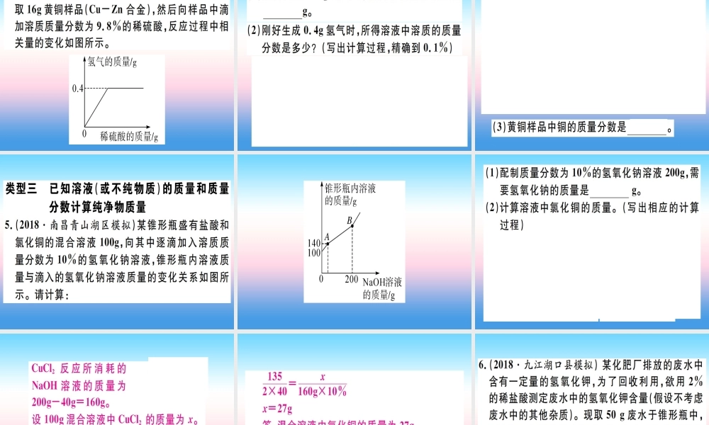 九年级化学下册 特色题型专练篇 题型五 化学计算习题课件 (新版)新人教版 课件