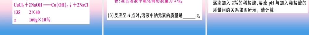 九年级化学下册 特色题型专练篇 题型五 化学计算习题课件 (新版)新人教版 课件
