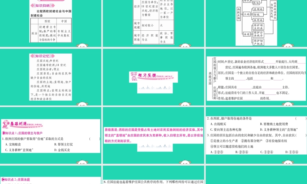 九年级历史上册 第3单元 封建时代的欧洲 第8课 西欧庄园习题课件 新人教版 课件