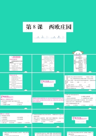 九年级历史上册 第3单元 封建时代的欧洲 第8课 西欧庄园习题课件 新人教版 课件