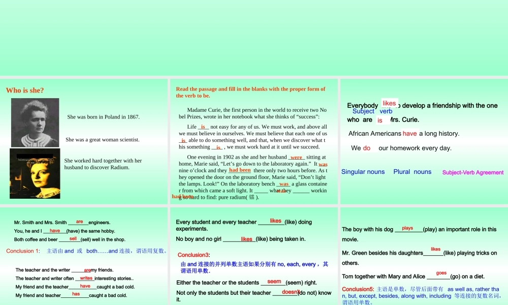 The Subject-Verb Agreement 新课标 人教版 课件
