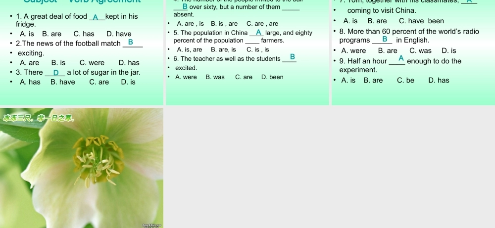 The Subject-Verb Agreement 新课标 人教版 课件