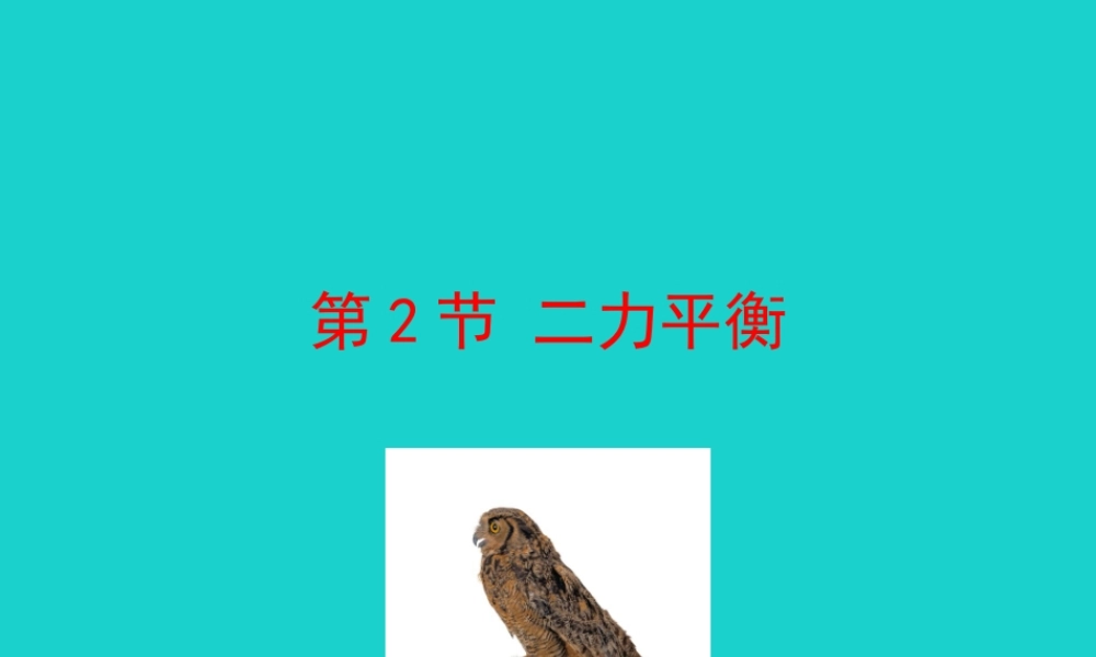 8.2 二力平衡课件 八年级物理下册 8.2 二力平衡课件+素材 (新版)新人教版 八年级物理下册 8.2 二力平衡课件+素材 (新版)新人教版