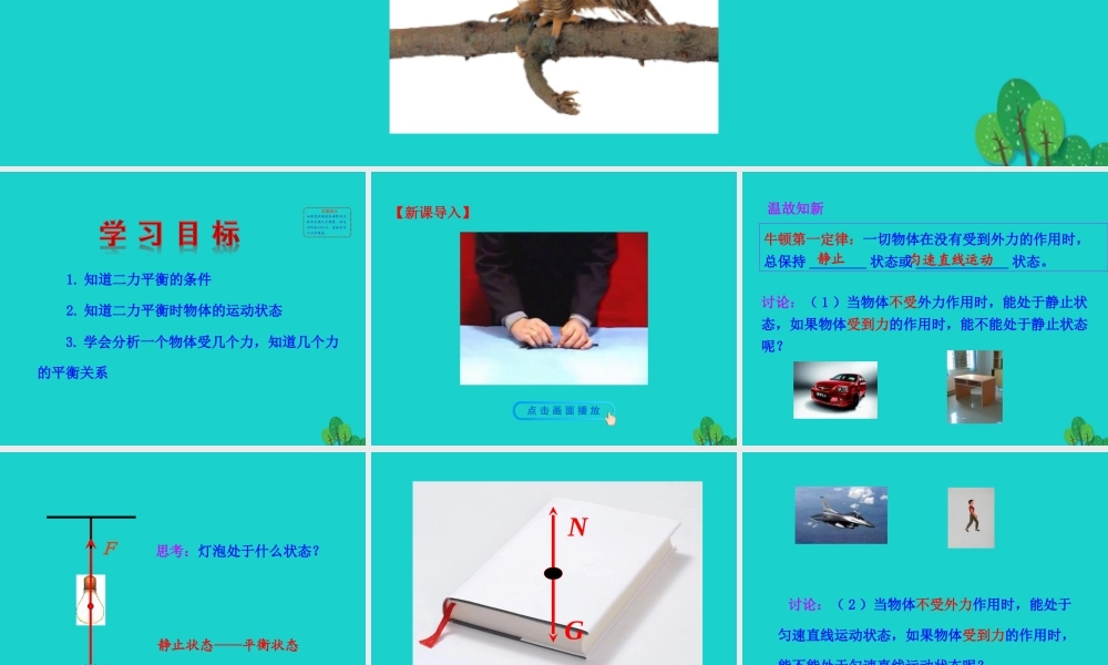 8.2 二力平衡课件 八年级物理下册 8.2 二力平衡课件+素材 (新版)新人教版 八年级物理下册 8.2 二力平衡课件+素材 (新版)新人教版