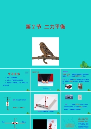 8.2 二力平衡课件 八年级物理下册 8.2 二力平衡课件+素材 (新版)新人教版 八年级物理下册 8.2 二力平衡课件+素材 (新版)新人教版