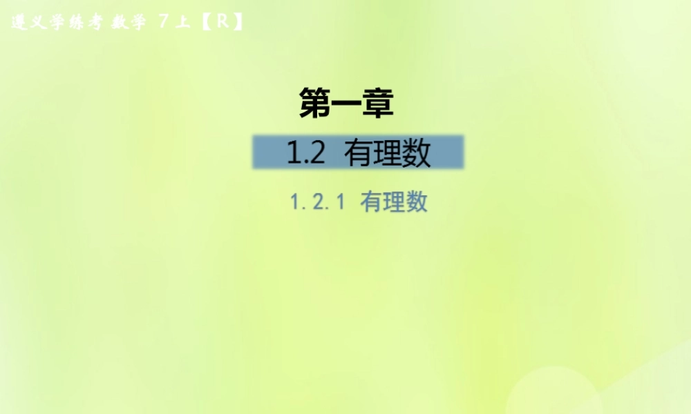 (遵义专版)七年级数学上册 第一章 有理数 1.2 有理数 1.2.1 有理数课后作业课件 (新版)新人教版 课件