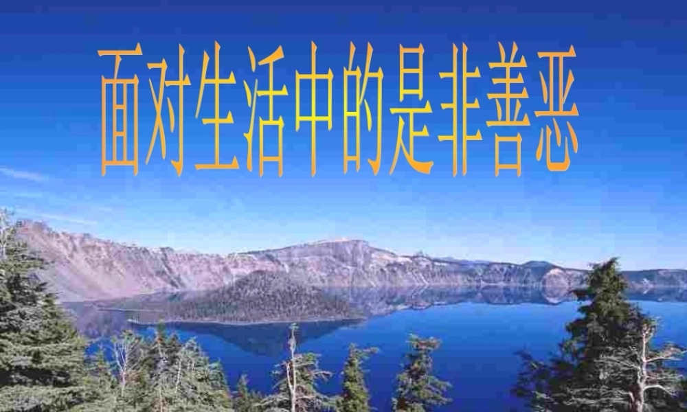 七年级政治下册 第十七课(看社会 辨是非)第一框课件 鲁教版  课件