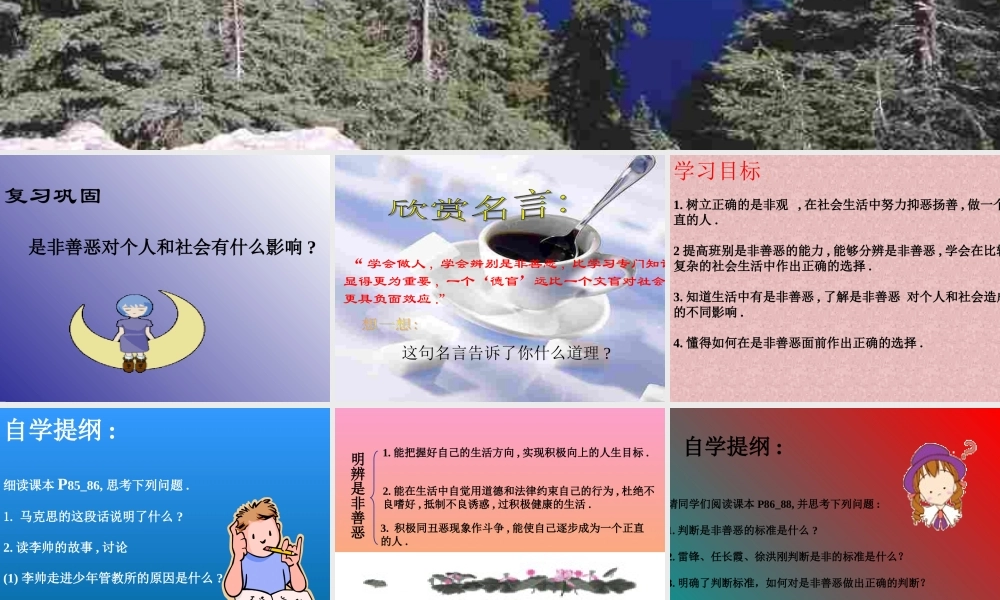 七年级政治下册 第十七课(看社会 辨是非)第一框课件 鲁教版  课件