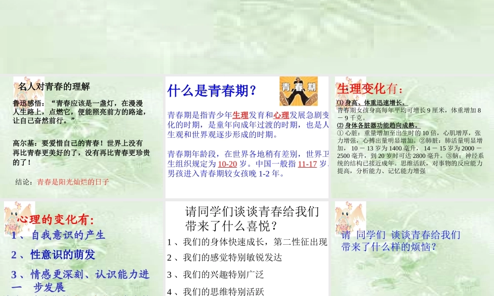 七年级政治感受青春2 七年级政治上：第四课 欢快的青春节拍 课件人教版新课标