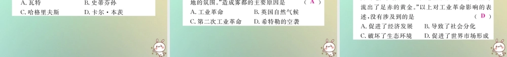 九年级历史上册 第七单元 工业革命、马克思主义的诞生和反殖民斗争 第18课 工业革命习题课件 川教版 课件