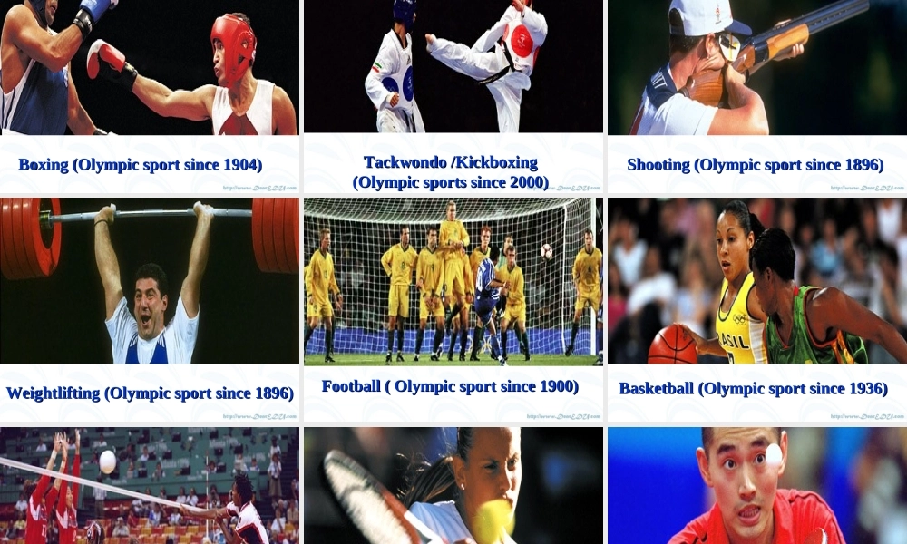 Unit8 Sports 人教版 课件