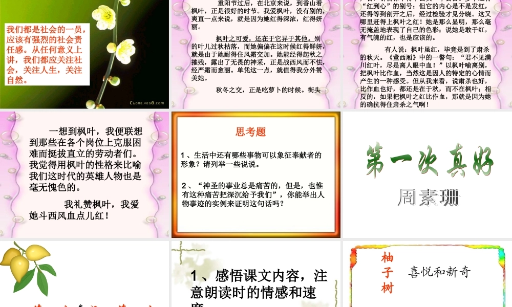 (短文两篇)课件 七年级语文上册第二单元(短文两篇)课件3套人教版