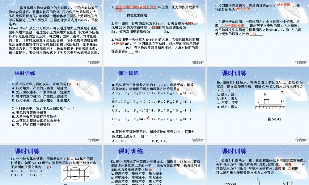 中考物理复习课件压力和压强 课件
