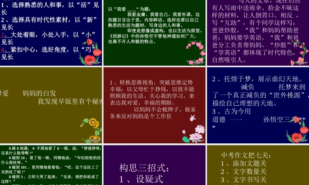 中考语文轻松作文辅导讲座课件