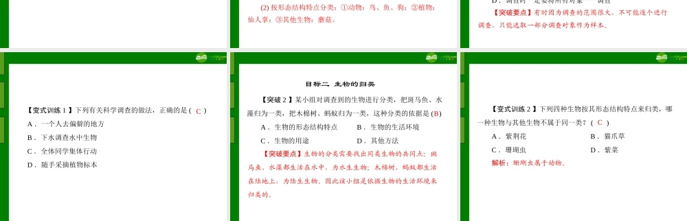 (随堂优化训练)七年级生物上册 第一单元 第一章 第二节 调查我们身边的生物配套课件 人教新课标版 课件