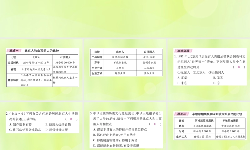 七年级历史上册 热点专题1 中国境内人类的活动课件 新人教版 课件