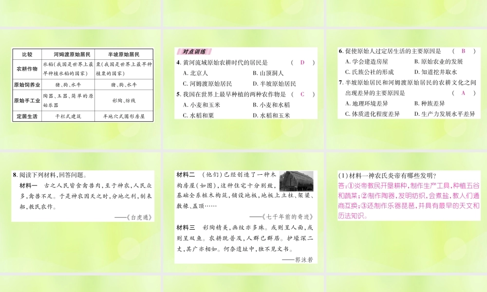 七年级历史上册 热点专题1 中国境内人类的活动课件 新人教版 课件