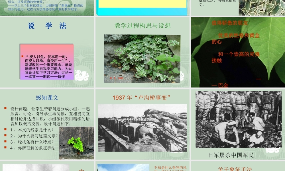 (囚緑记)课件4  (新人教版必修2) 课件