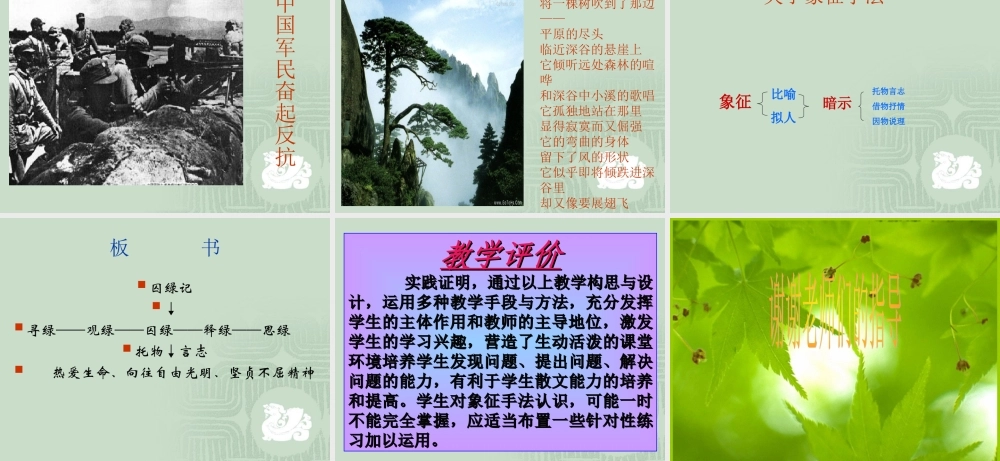 (囚緑记)课件4  (新人教版必修2) 课件