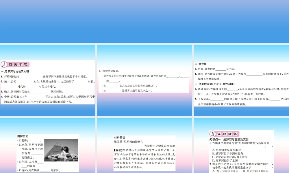 九年级历史上册 第1单元 古代亚非文明 第1课 古代埃及作业课件 新人教版 课件